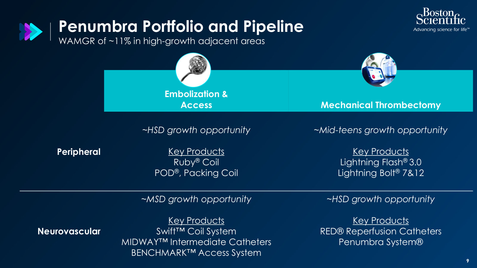 The portfolio as a 2x2: Embolization & Access vs. Mechanical Thrombectomy across peripheral and neurovascular, with key products named.